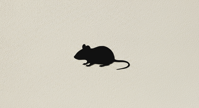 Atlanta Rodent Control Services | Corsello & Son Pest Control